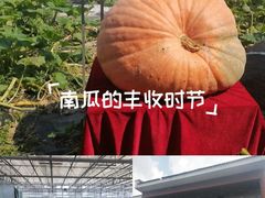 -长春农业博览园
