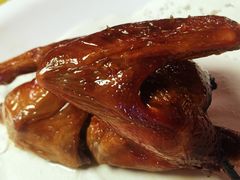 -鸽王世家(东华东路店)