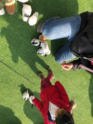 -萌宠亲子动物乐园(槐房万达店)