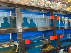 -华盛丰温州大排档(东三环南路店)