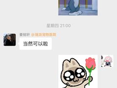 -瑞派宠物医院·24h·骨外科·皮肤科·全科宠物医疗转诊中心(沈阳浑南院)