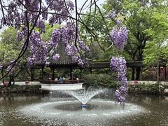 -上海醉白池公园