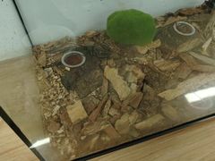 -上海昆虫博物馆