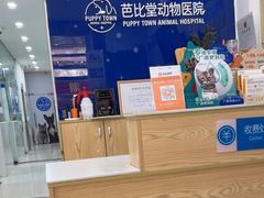 -芭比堂动物医院(广州爱宠下渡路分院)