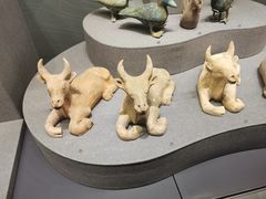 -广西壮族自治区博物馆