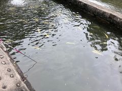 -双新垂钓园