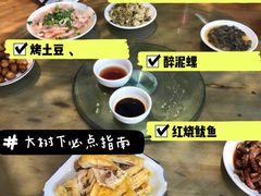 -大树下饭店(春晓镇慈岙社区卫生服务站南)