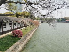 -无锡蠡湖国家湿地公园-蠡园