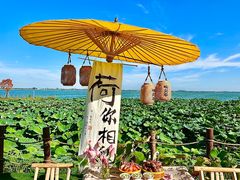 -七的湖·晚芳亭·阳澄湖农家菜·大闸蟹(莲花岛店)