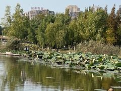 -前关湿地公园