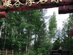 -峡谷浮石林景区