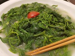 上汤桑叶-国家五钻酒家·西樵旺阁渔村(西樵店)