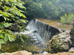 -云岫谷游猎自然风景区