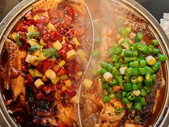 -辣尚瘾·烤鱼·新川菜(交大直营店)