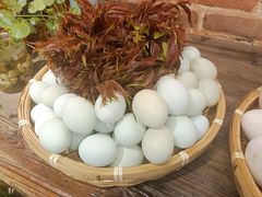 -花溪老屋·山野土菜院子(机场大道店)