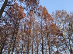 -T80科技文化国际社区-停车场