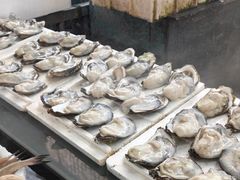 -南沙十九涌渔人码头-南门