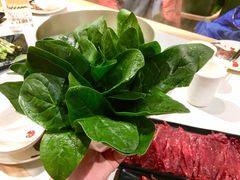 菠菜-牛记皇·鲜牛肉火锅(弘阳广场店)