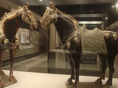 -西安大唐西市博物馆