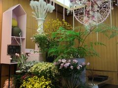 -蝶舍·MAISON PAPILLON