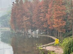 -重庆彩云湖湿地公园