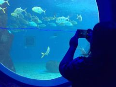 -北戴河圣蓝海洋公园