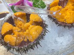 -老大连·海肠捞饭·大连海鲜大连菜(西安路店)