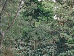 -火炉山森林公园