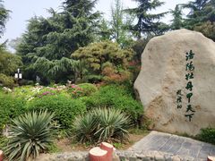-西苑公园