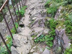 -云岫谷游猎自然风景区