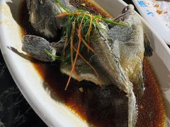 -小海豚·老字号海鲜餐厅(三亚湾店)