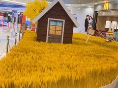 -凯德广场(西城店)