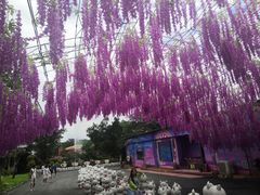 -牛鱼嘴原始生态风景区