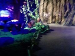 -祥源·阜阳生态乐园