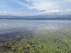 -西昌邛海湿地
