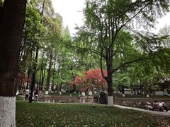 -温江公园