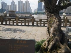 -江心屿景区