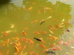 -口岸雕花楼