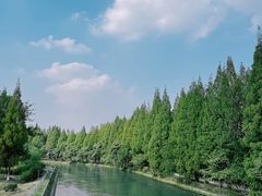 -蜀绣公园
