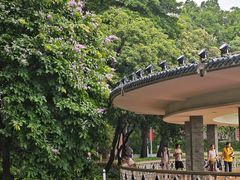 -荔湾湖公园