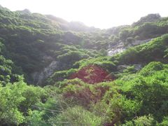 -少华山国家森林公园