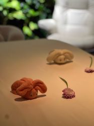 点击看大图 -VELEE·SPA高定疗愈会所