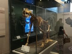 -北京周口店北京人遗址博物馆