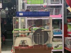 -钓仓鼠(洋桥北里小区店)