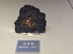 -吉林市博物馆