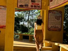 -白云山风景名胜区