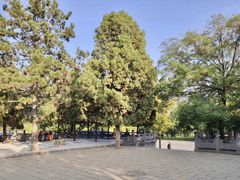 景点-少林寺景区