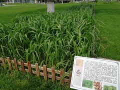-东北农业大学
