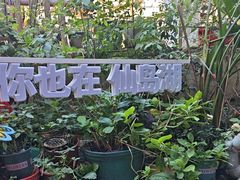 -鱼乐岛餐厅·户外花园主题餐厅