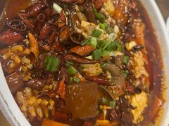 -易老妈蹄花.特色川菜(人民公园总店)